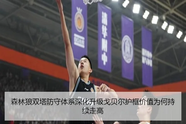 森林狼双塔防守体系深化升级戈贝尔护框价值为何持续走高